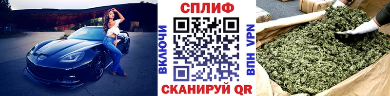 Бошки Шишки VHQ  Городовиковск 